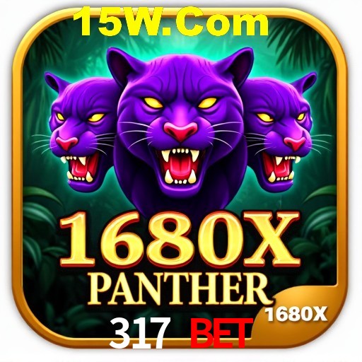 Interface Premium 317 Bet